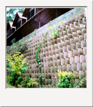 8. Summer Holiday Resort, Kota Tinggi,  Johor